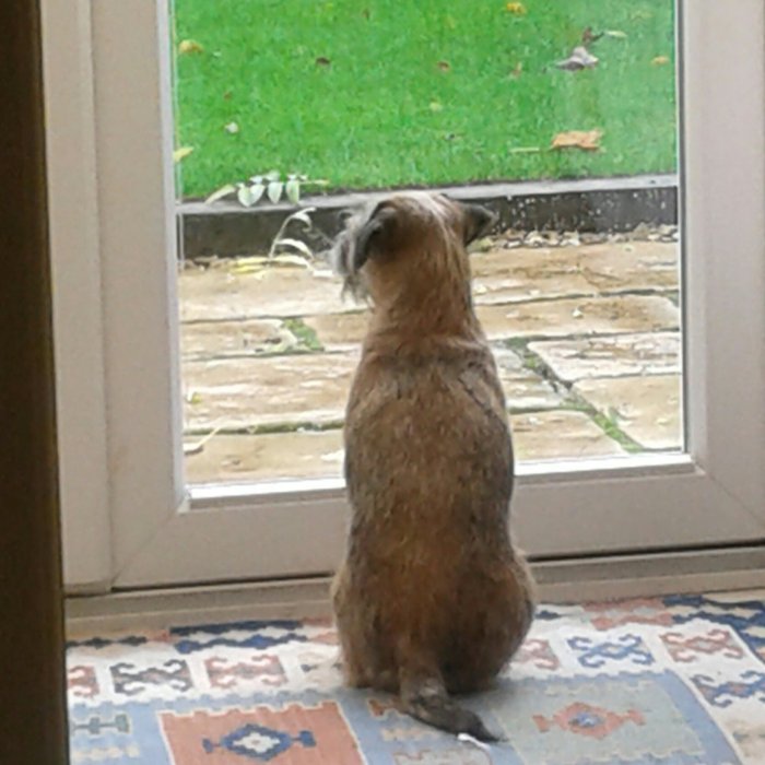 IMG_20140112_232929.jpg image