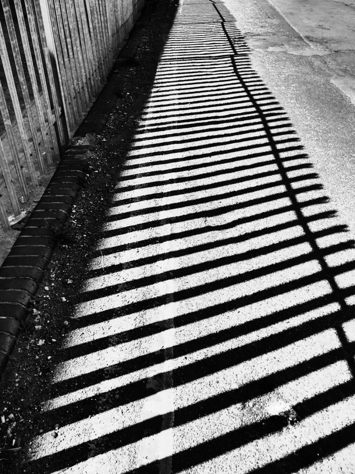 wp-1402512623652 image