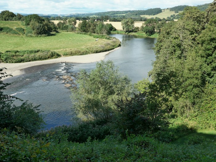 wp-1406577713533 image