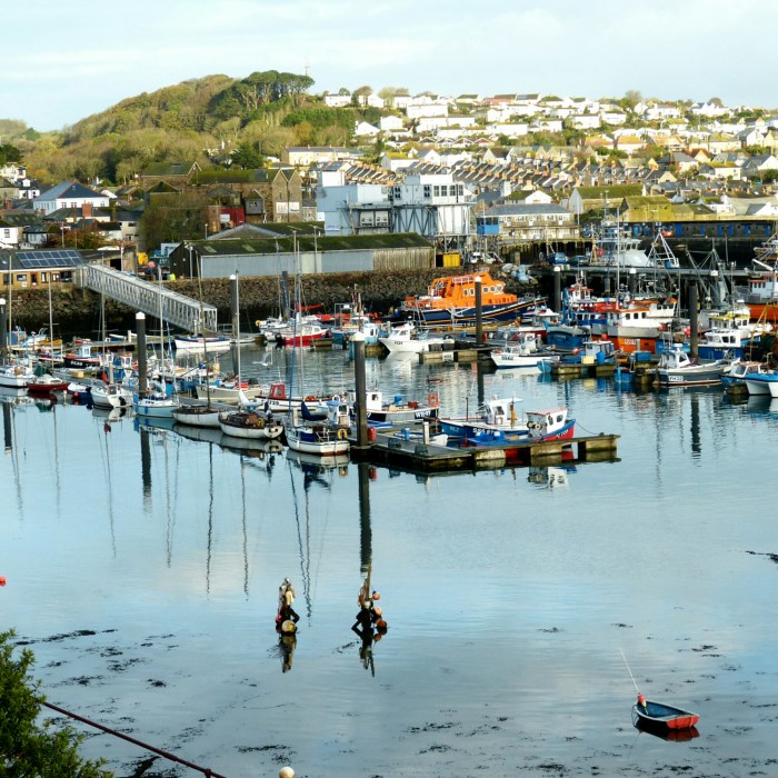 IMG_20141102_202148.jpg image