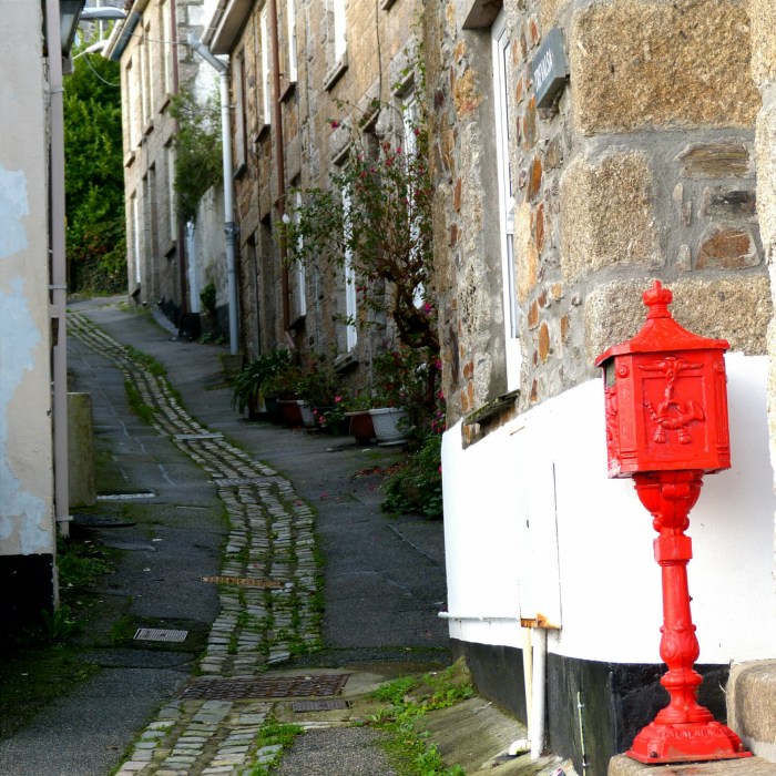 IMG_20141102_202439.jpg image