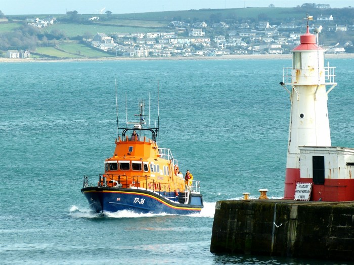 IMG_20141102_203333.jpg image