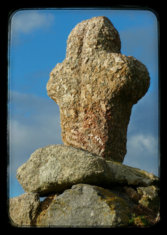 IMG_20141104_162140.jpg image