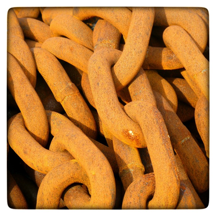 IMG_20141106_142742.jpg image