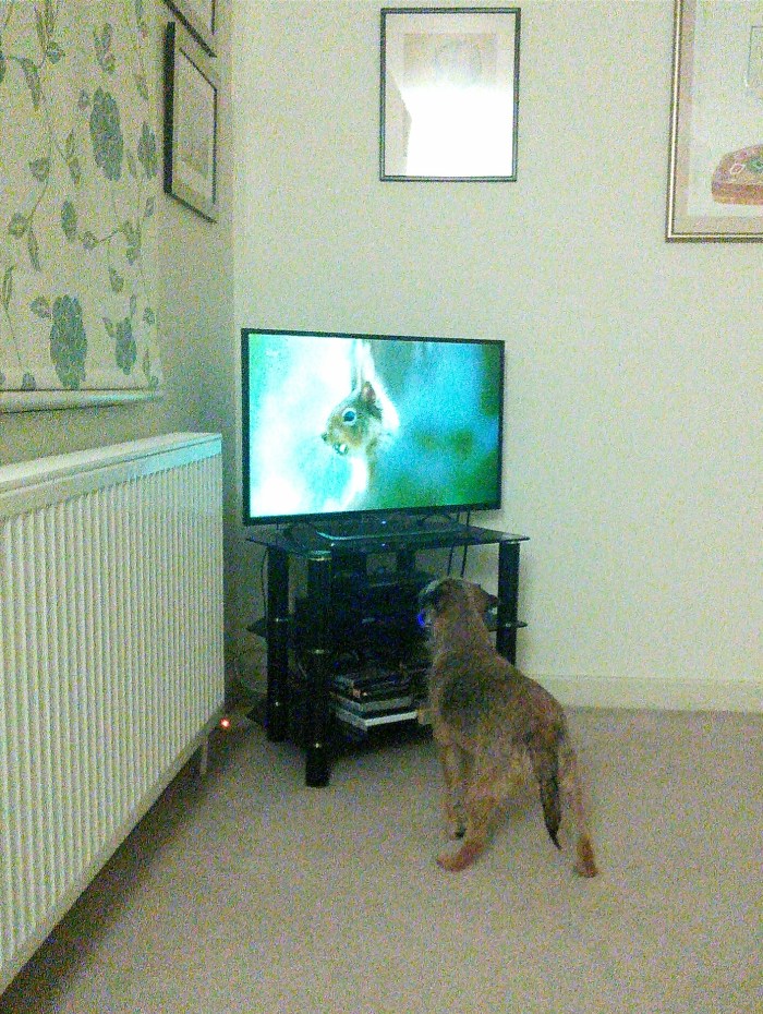 wp-1417464966749 image