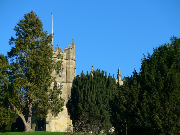 wp-1418328759895 image