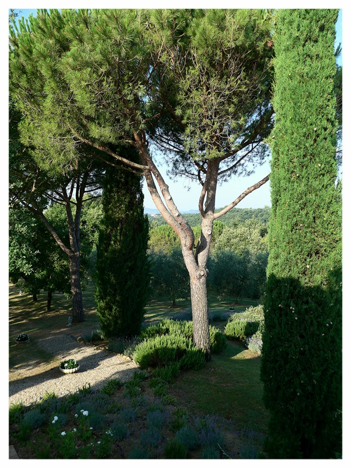 wp-1436889537703 image