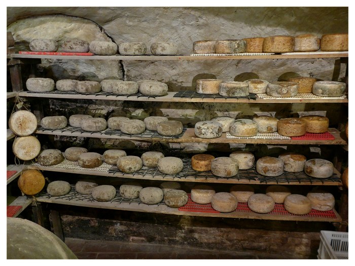 wp-1436890121624 image